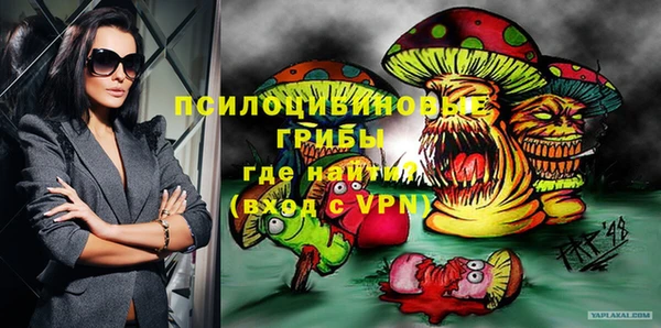 соль ск Бронницы