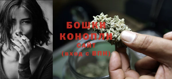 соль ск Бронницы