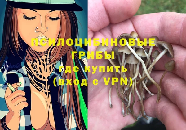 mix Бородино