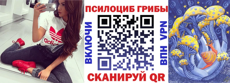 цены наркотик  kraken   Псилоцибиновые грибы Magic Shrooms  Новая Усмань 
